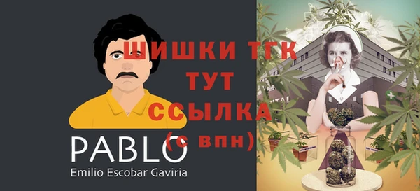 spice Володарск